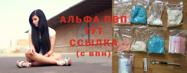 прущие грибы Армянск
