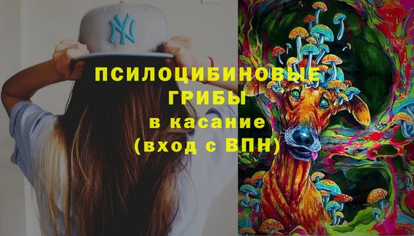 прущие грибы Армянск
