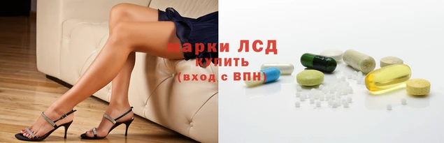 прущие грибы Армянск