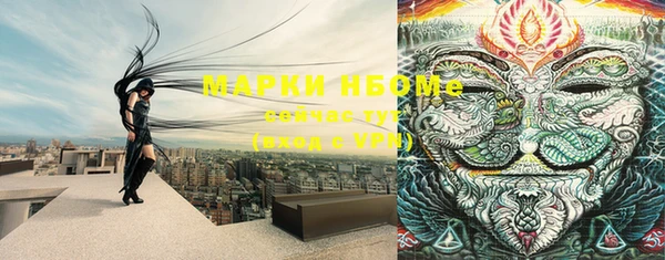 прущие грибы Армянск