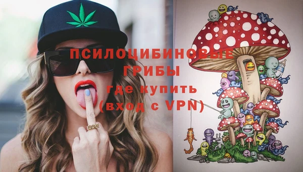 прущие грибы Армянск