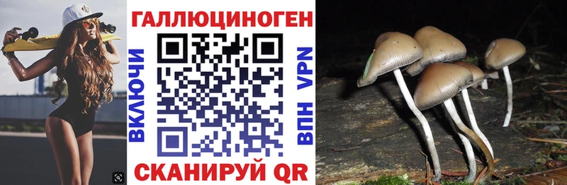 Псилоцибиновые грибы мухоморы  купить наркотики цена  Теберда 